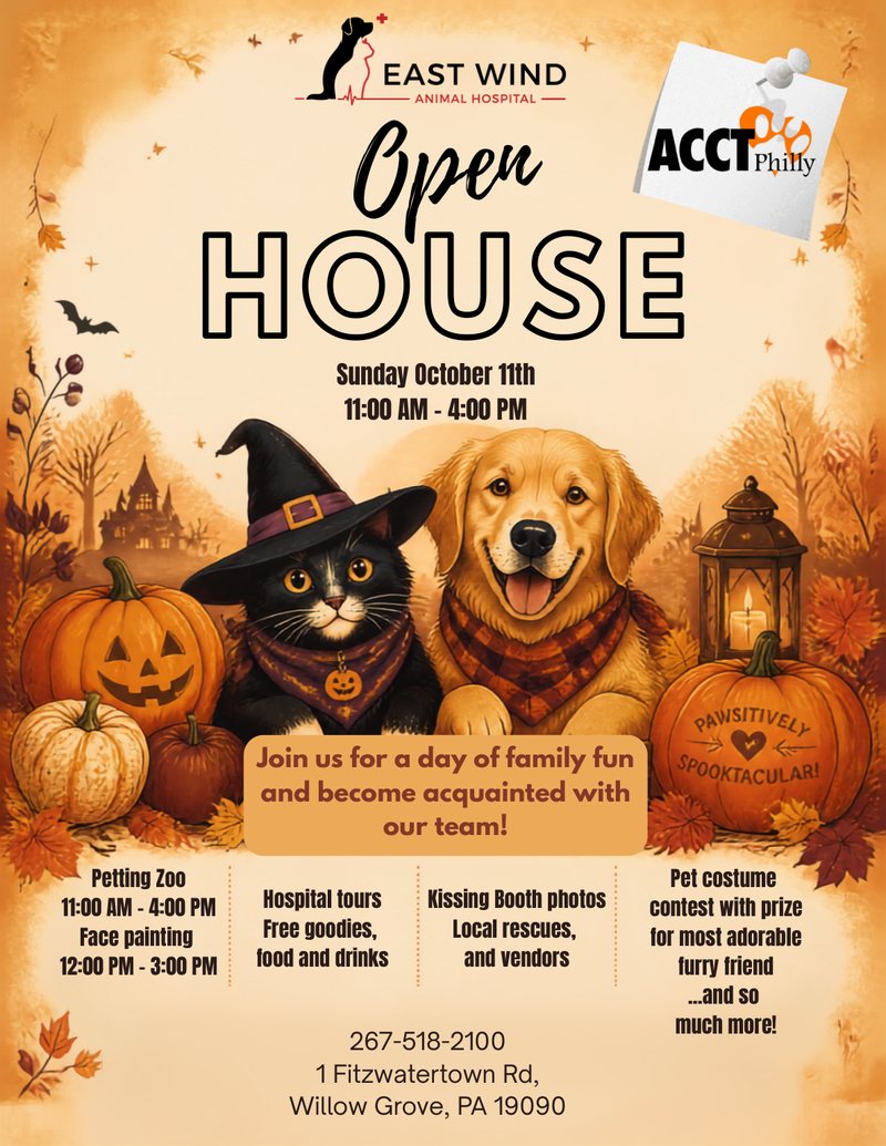 East Wind Animal Hospital Open House flyer, now rescheduled to Sunday, November 8, 11:00 AM to 4:00 PM, at 1 Fitzwatertown Rd, Willow Grove, PA. Petting zoo, face painting, hospital tours, free goodies, food and drinks, kissing booth photos, local rescues and vendors, and a pet costume contest.